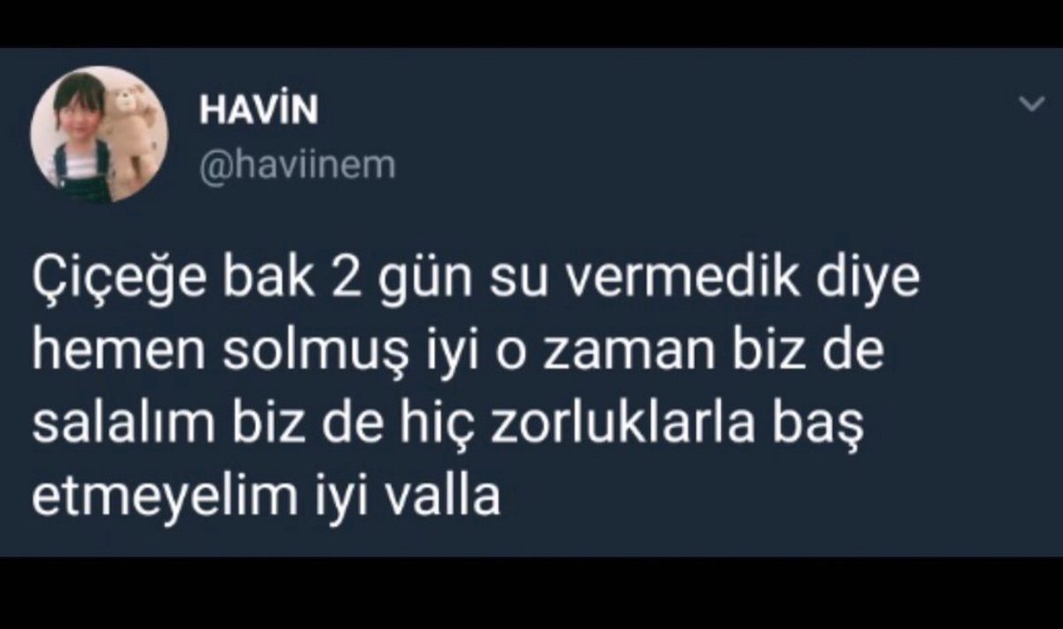 Alnı Öpülesi Tivitler (@alniopulesitivt) on Twitter photo 