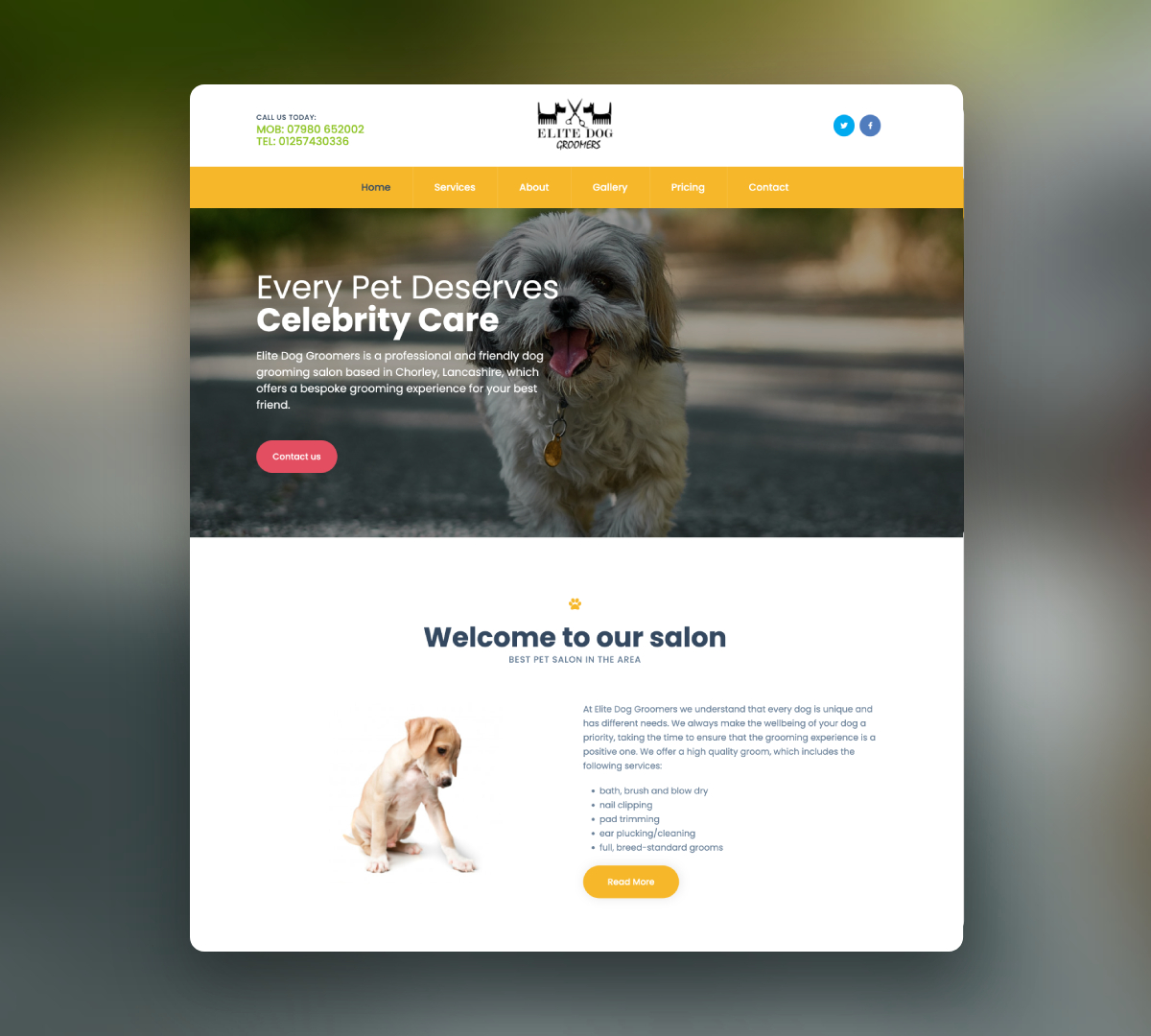 Dion Digital (@dion_digital) / Twitter