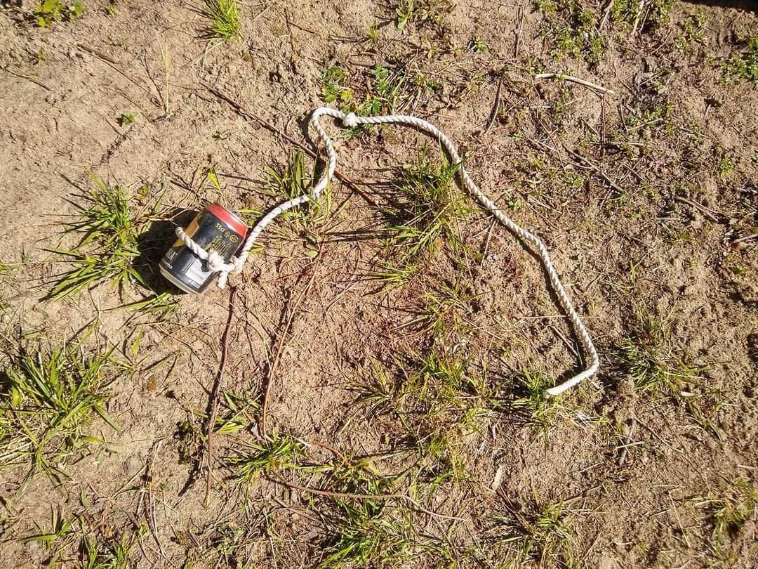 MarkoRumbin's tweet photo. ÄLÄ OTA KESÄKALJAA!
Joka kesä tuhansia kaljoja hylätään heitteille. Vaikka kalja vaikuttaa vahvalta, se tarvitsee huolenpitoa. Palauta siis kalja kauppaan. #kalja https://t.co/t9TfTvu7me