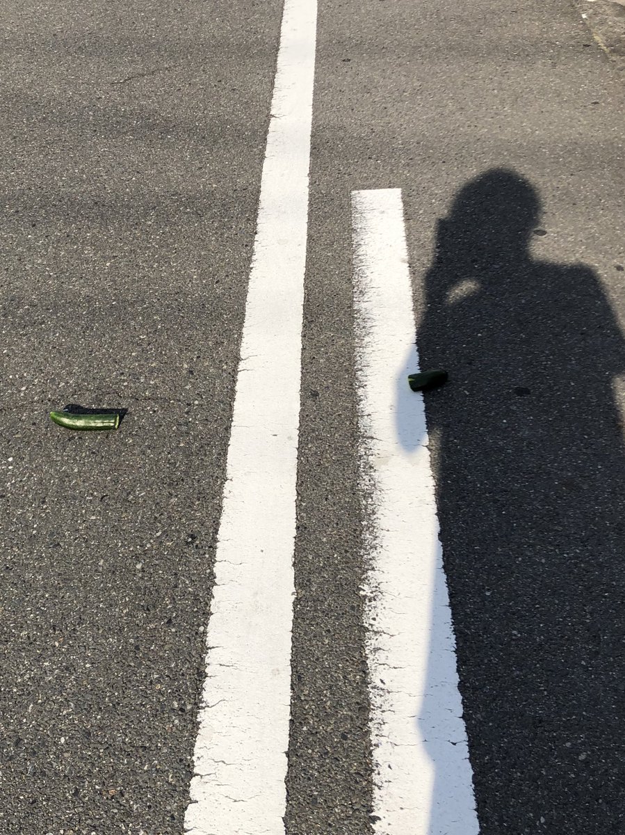 maxstepner's tweet image. みんなネギとか落ちてるって嘘やろと思ってたけど、俺の場合は、
切られたきゅうりが落ちてた。
#影中にものこり半分がある