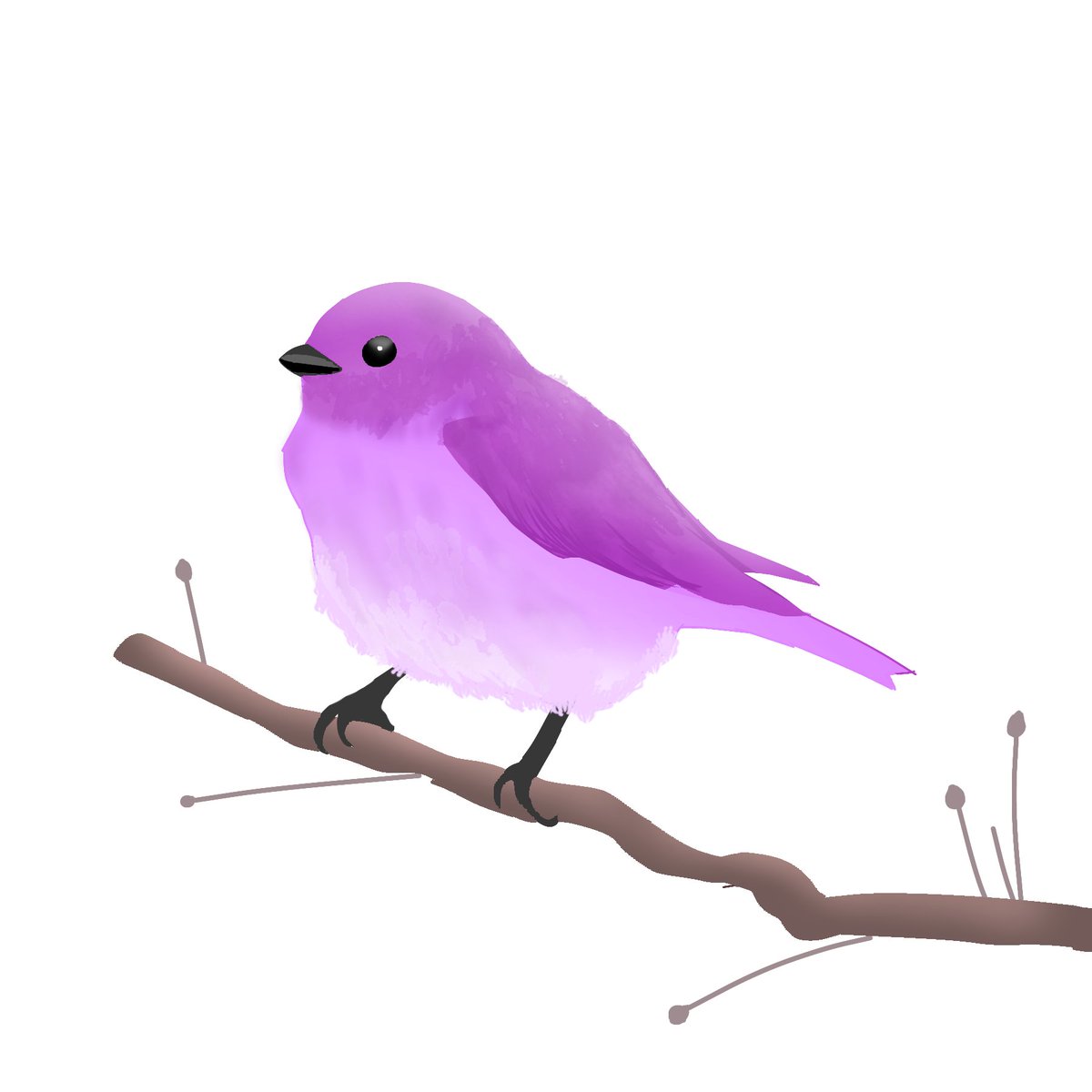 Hey guys ♥️ ♥️ ♥️

Meet Purple Mountain Bird 🐦 ❤️

Price - 0.006 #ETH
Let's find him his home ❤️ ❤️

Also, I have a buy 1 get 2 free offer right now for some time! So get your birdies! 

opensea.io/collection/cut…

#NFT #NFTCommunity #opensea #NFTMarketplace #nftcollectors