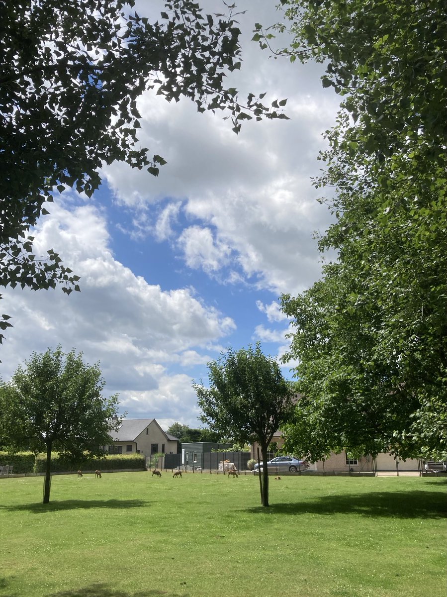 Lutgartvdm's tweet photo. #Vrtweer Denderleeuw 13:20 Isolde van der Laan https://t.co/57M97jFRfS