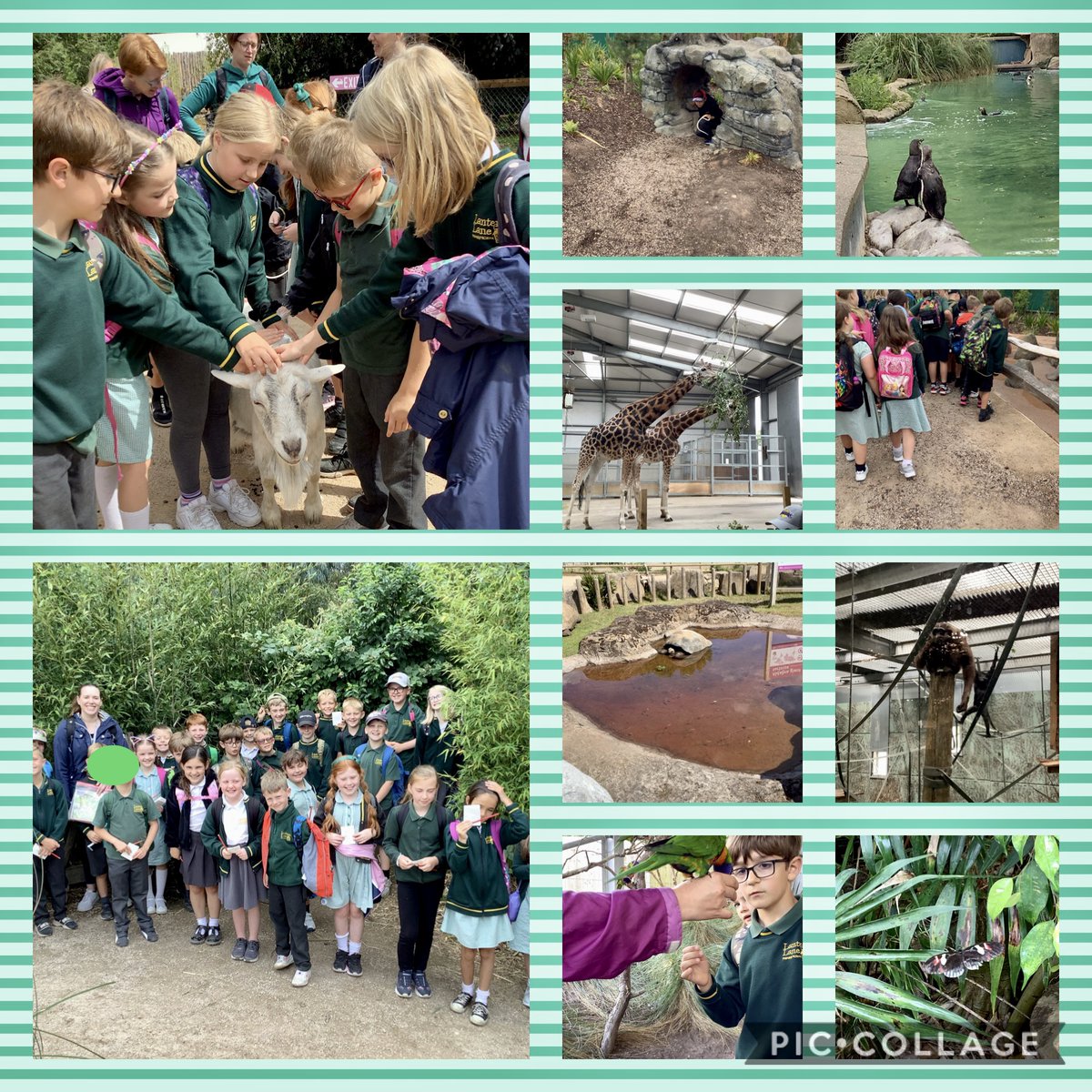 lanternlaneyr3's tweet photo. Fun times at Twycross https://t.co/8o5xnyI72y