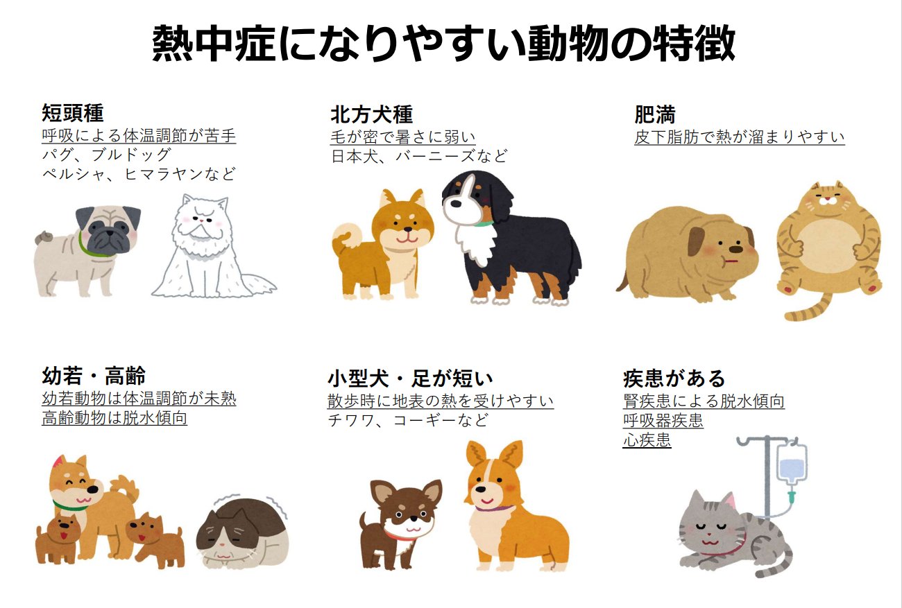 Follow 栃木県動物愛護指導センター S Tochigi D A S C Latest Tweets Twitter
