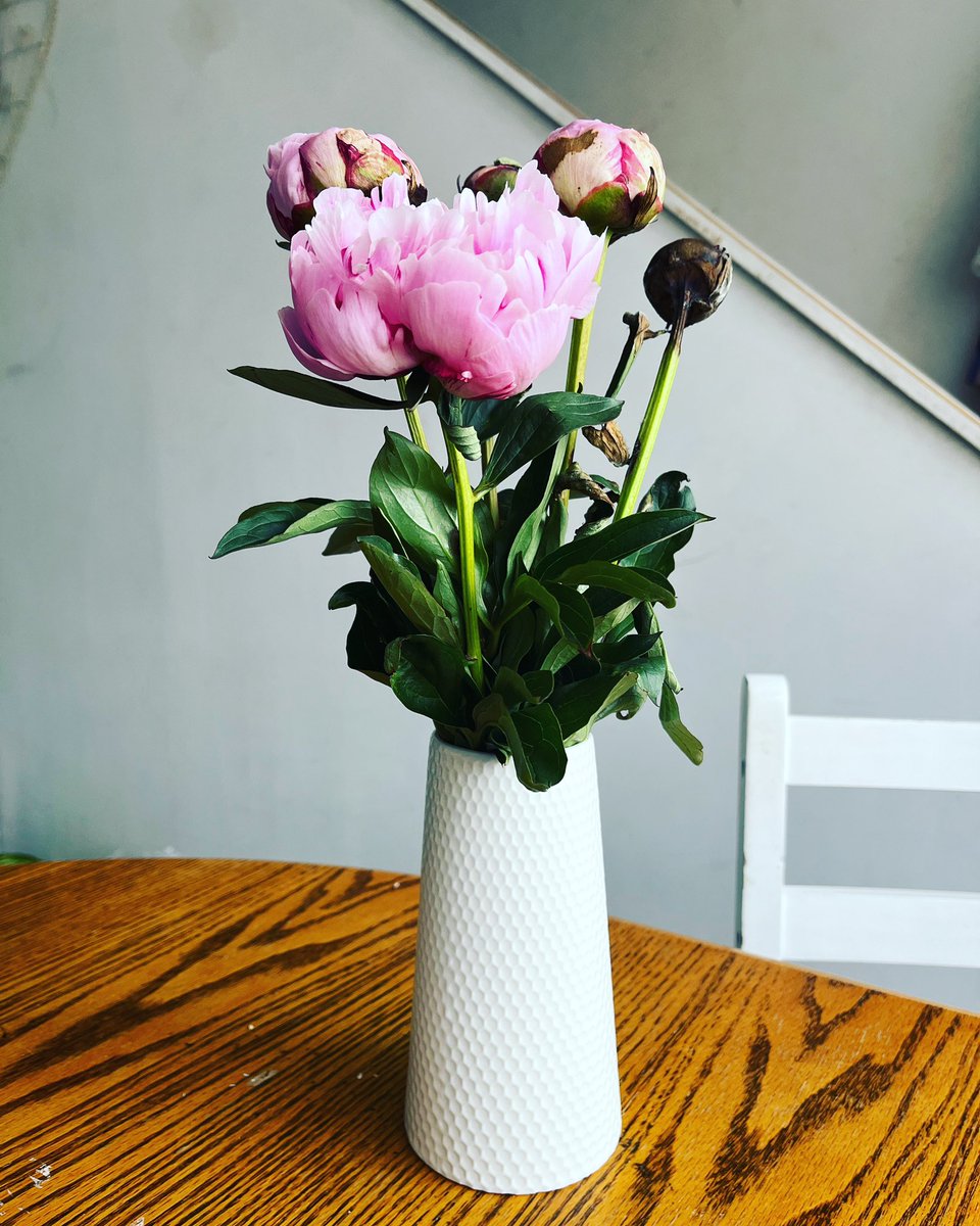 Flowers bloom at different times. Enjoy the journey &amp; have faith that your time will come 🌺 

#lawofattraction #goodvibesonly #believe #manifesting #grateful