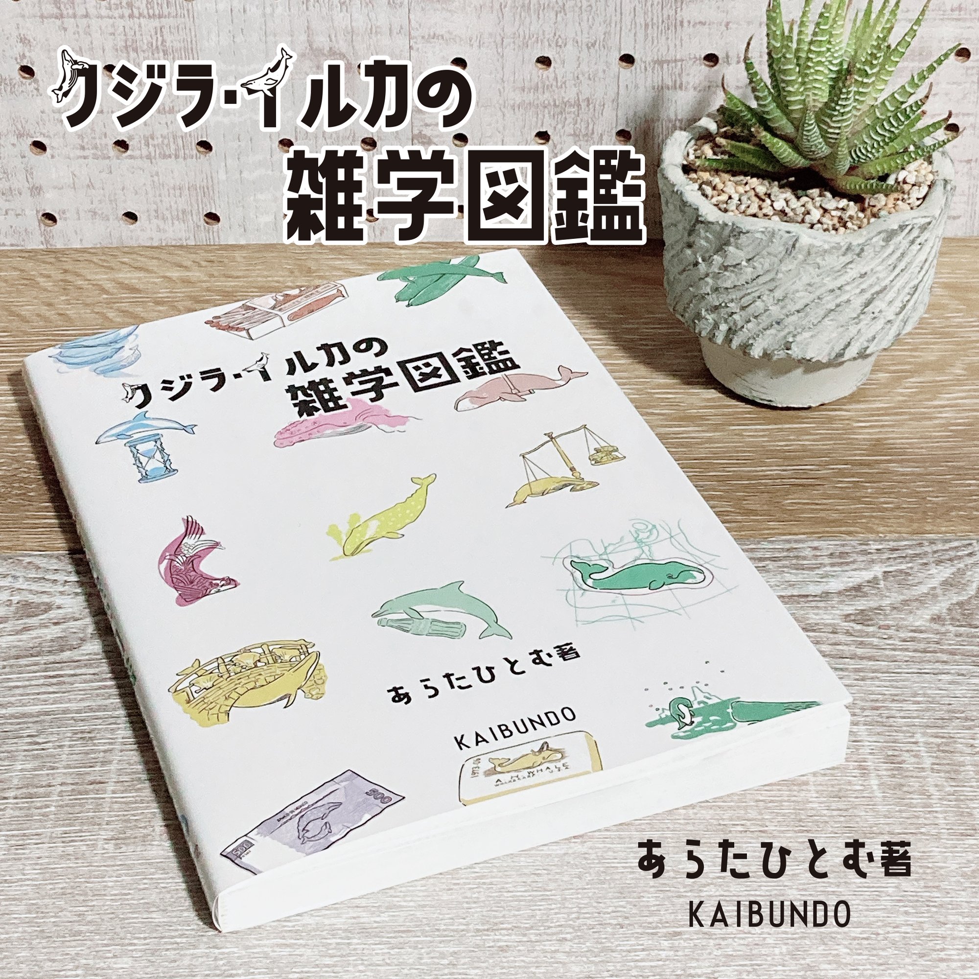 あらたひとむ🐋クジラ・イルカの雑学図鑑📖 (@aratahitom) / X