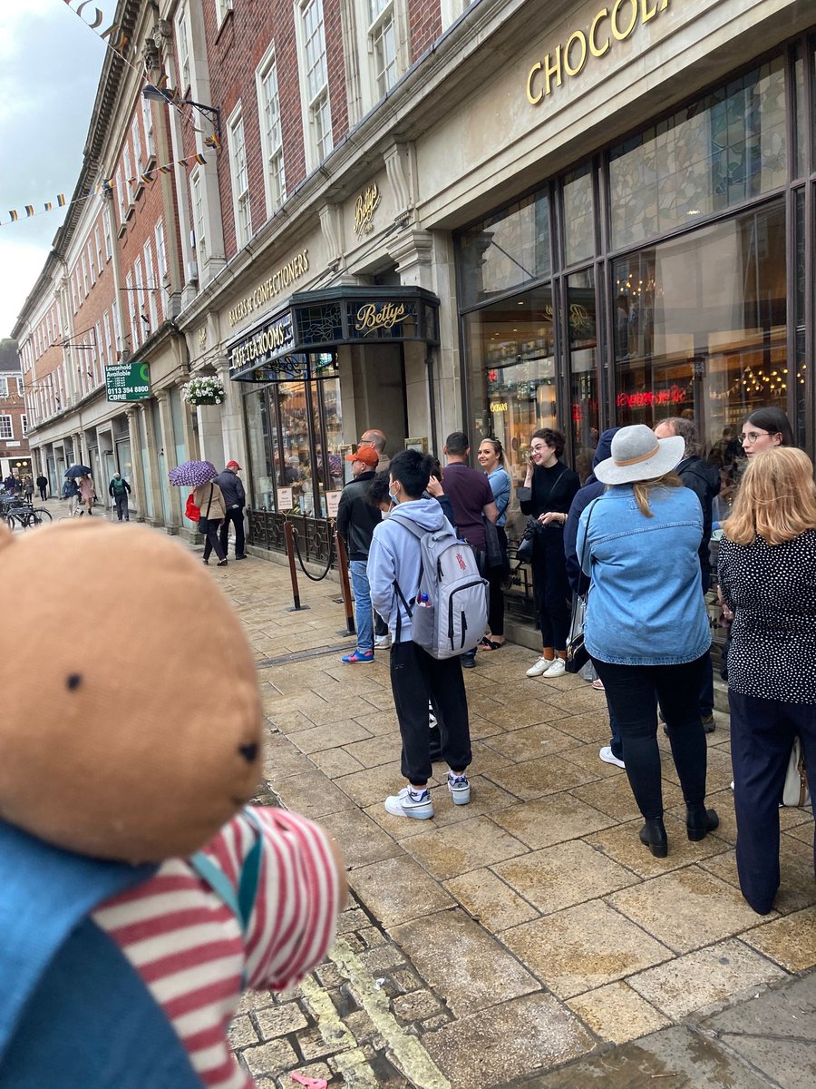 Mouse on tour (8) he says - 'Brief stop at a cafe, in York - is this the Queen's place?' Retweet the adventure #mouseswood @bookishkids @OpenUni_RfP @thamesandhudson @alicemelvin @YorkLitFest @LittleVikingsUK @yorkmumbler @VisitYork @Bettys
