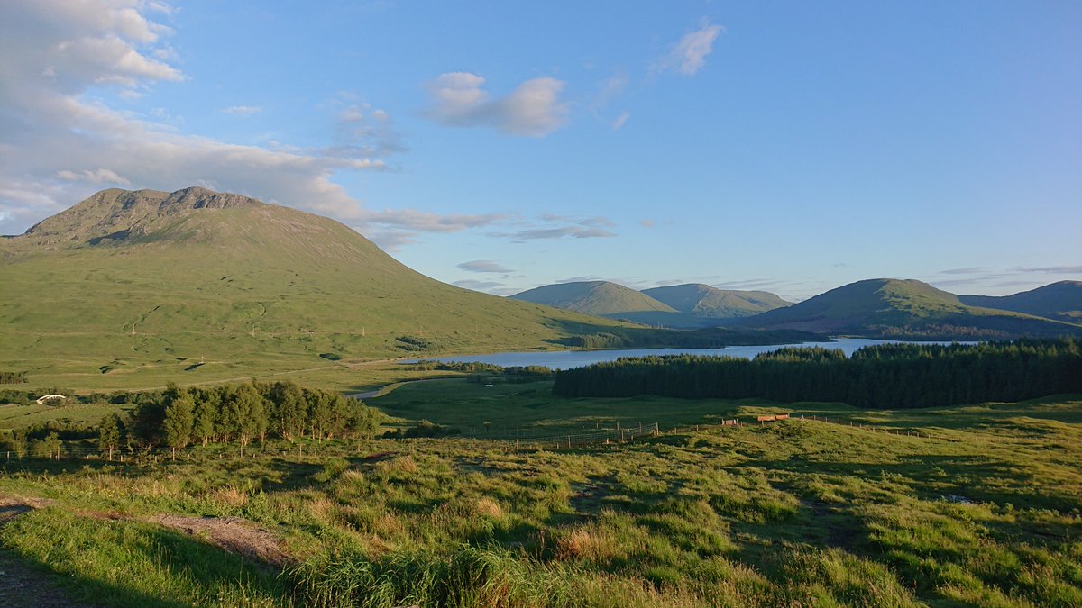 Masschelein Lab tweet media