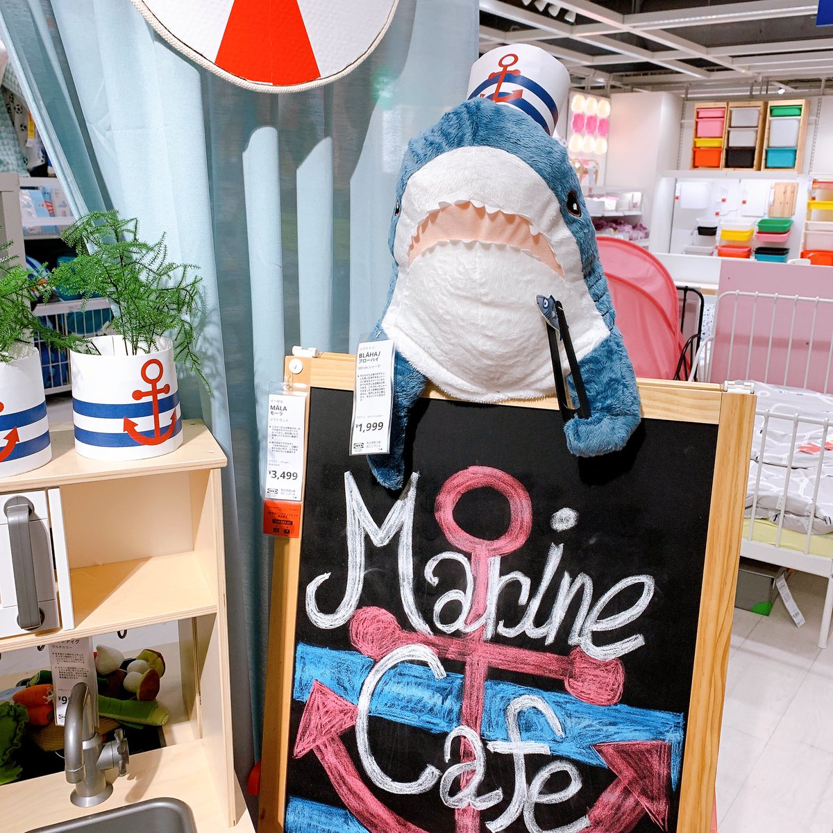 mol_mEq_Osm's tweet photo. 【IKEA長久手】
子サメちゃんの捕獲に成功しました🦈

まだまだ沢山カゴにいました
東海地方で子サメちゃんをお迎えしたい方はぜひ！

#IKEA長久手 #IKEAのサメ #BLÅHAJ https://t.co/BKVxRWshTM