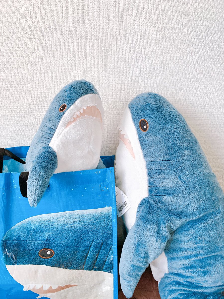 mol_mEq_Osm's tweet photo. 【IKEA長久手】
子サメちゃんの捕獲に成功しました🦈

まだまだ沢山カゴにいました
東海地方で子サメちゃんをお迎えしたい方はぜひ！

#IKEA長久手 #IKEAのサメ #BLÅHAJ https://t.co/BKVxRWshTM