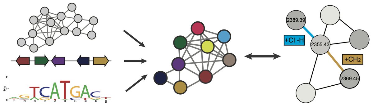 Marnix Medema (@marnixmedema) on Twitter photo Very grateful to receive an <a href="/NWO_Science/">NWO Domain Science (Inactive)</a> Vidi grant! We will develop integrative-omics-based methods to computationally identify plant biosynthetic pathways and link them to their metabolic products, to provide new insights into pathway evolution.
nwo.nl/en/news/101-re… Very grateful to receive an <a href="/NWO_Science/">NWO Domain Science (Inactive)</a> Vidi grant! We will develop integrative-omics-based methods to computationally identify plant biosynthetic pathways and link them to their metabolic products, to provide new insights into pathway evolution.
nwo.nl/en/news/101-re…