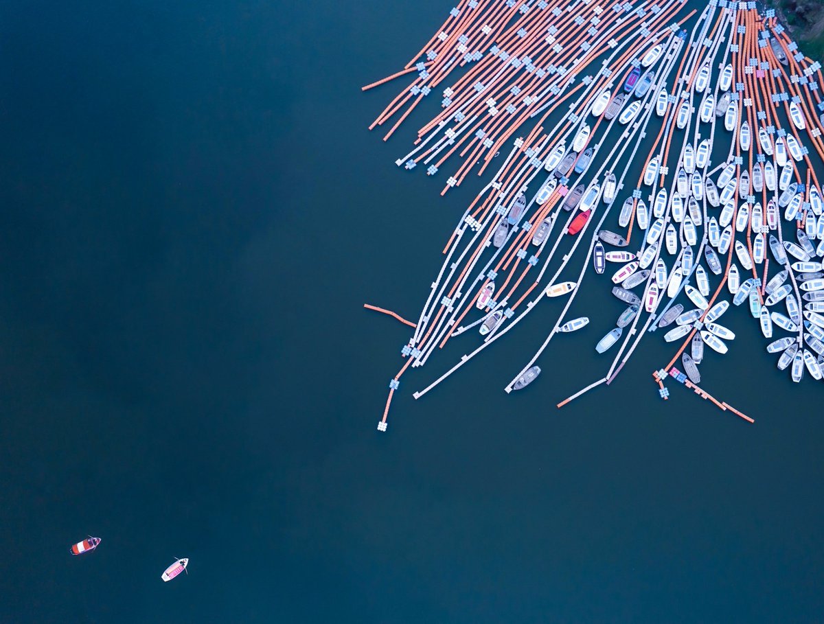 Gm people ✨
"Moving towards a beautiful mess"
This picture I took at Triveni Sangam, Prayagaraj .
#DJI #djimini3pro #nftart #nft #dronephotography #drone #areal