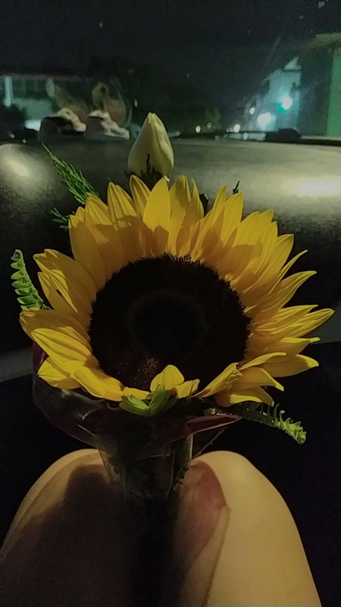 B4abyWitch's tweet photo. Estoy muy feliz, la neta.🥺 https://t.co/xtiuZF5ivQ
