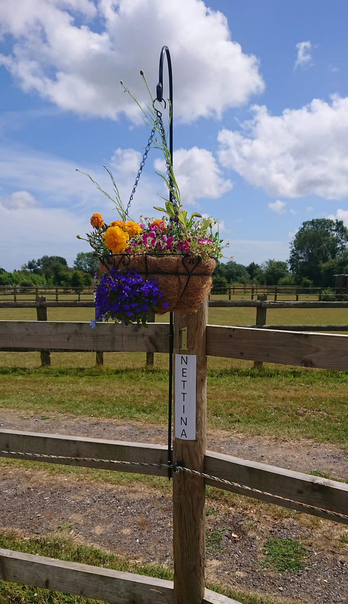 swallow_beck's tweet photo. Special Offer £15 pn until 13 July Stunning Prime Location
Availability
Flat Pitches
Luxury Auto Flush Disposal Unit &amp; Area
Site field HUGE!!
Online Booking
https://t.co/UEx5drx3aq
@greatsussexway 
@candmclub https://t.co/knOv5B5vBJ