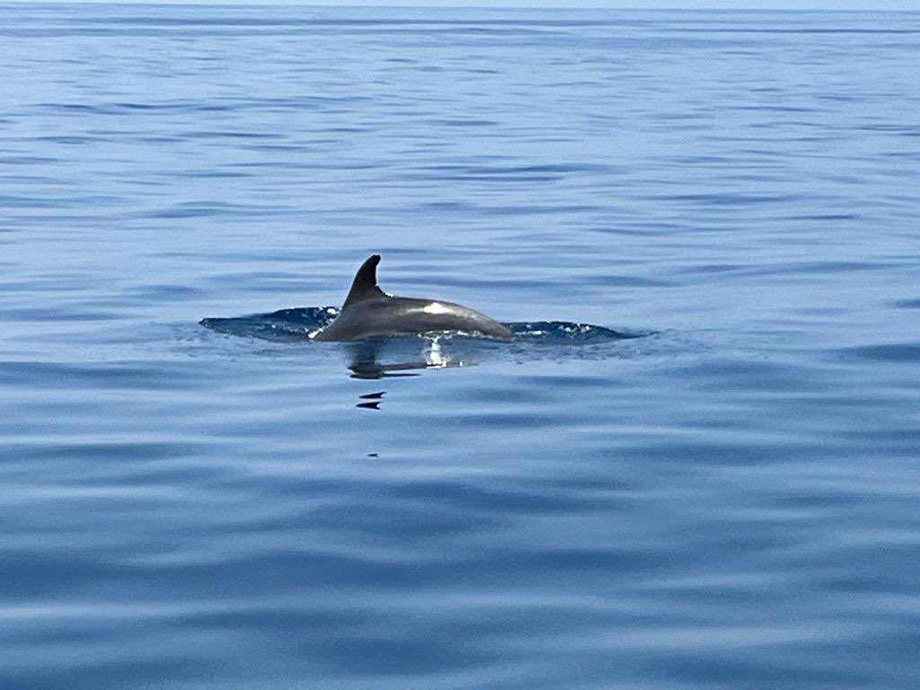 ConilSud's tweet photo. Taranto ci ha accolto con la sua bellezza, la sua unicità e i suoi contrasti. Ora il viaggio prosegue verso sud alla scoperta di altre esperienze di cambiamento vero sul territorio. Per saperne di più: https://t.co/j4WNWKykm7 #sullastessabarca #conilsud https://t.co/xnnYEfDl7k