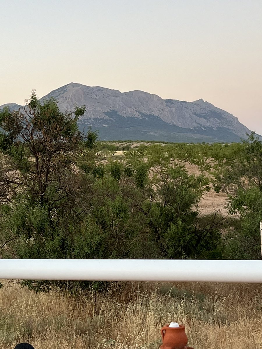 Emi T. Critical care RN. Brittle asthmatic 💙 tweet media