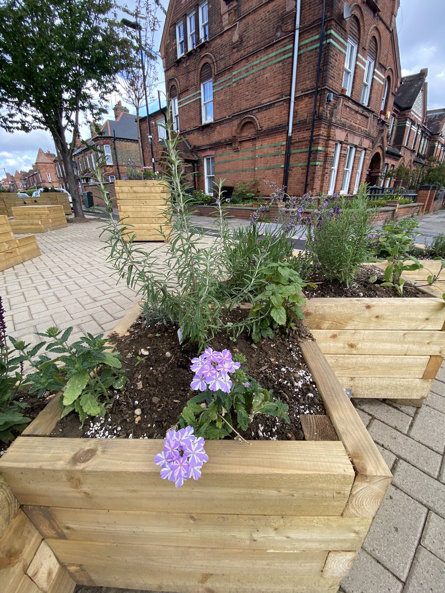 Lovin’ our new Parklet! The planters located on the pavement on Gladstone Avenue are filled with fresh herbs so help yourselves to clippings as and when you need them 🌱🌿 #GrowBackGreener #GladstoneParklet