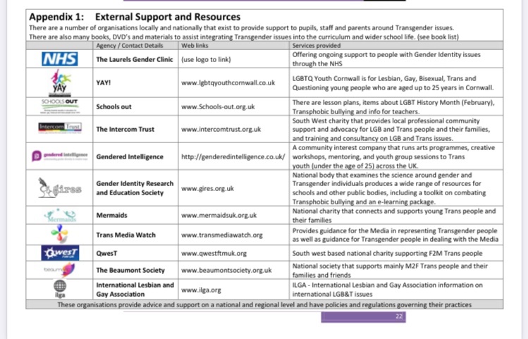SafeSchools_UK's tweet image. And here are some of the concerns with the Cornwall guidance. #PolicyFail #SafeguardingFail #edutwitter #WomenEd