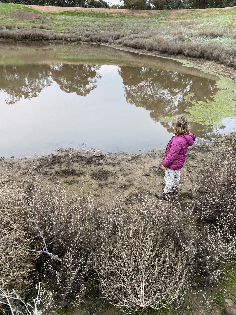 Jarred Tilley tweet media