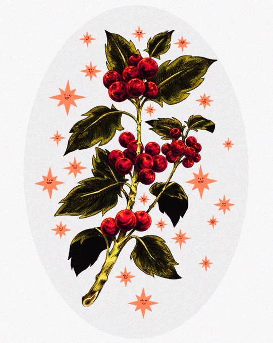 ✸ holly berries and frends ✸ 