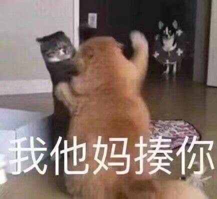 caosugong's tweet photo. 我是月老体质，从小到大我暗恋过我喜欢过的人没几天就有对象了，这边建议所有人和我贴贴 https://t.co/AEAN5GS7Rm