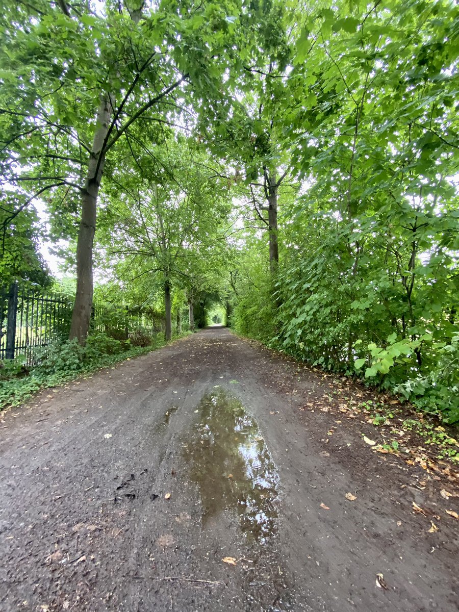 #NCTlauf ist, wenn der Regen 🌧 ausnahmsweise nicht die #Laufmotivation trübt! Meine ersten 10k für Team „HSE & friends“ sind drin. #LaufendGegenKrebs #NCTrun #AllesFürsTeam