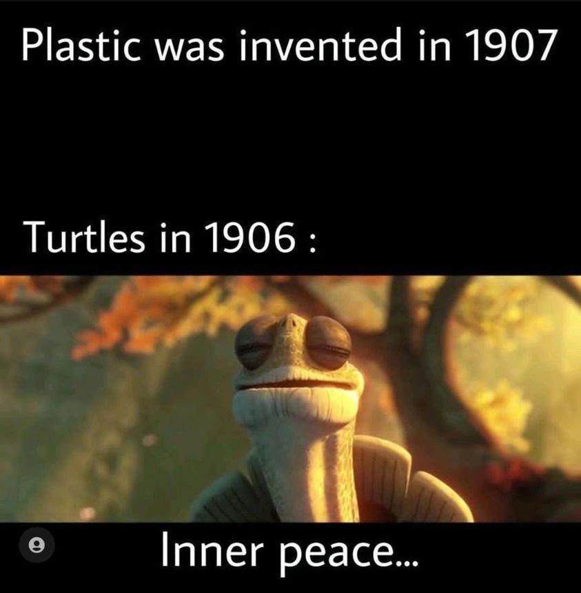 Let's try our best to give our sea turtles their peace back by joining the fight against ocean pollution!

#bepartofthesolution_notthepollution #greatgambia 

#ocean #pollution #plasticfreejuly #plasticpollution #turtles #meme #tgif #beaches #gambia 

Source: @EarthlyEdu