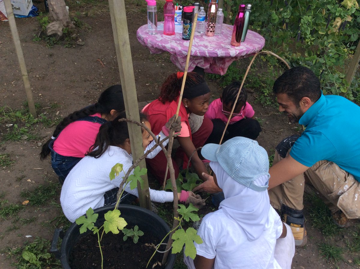 WjgsS's tweet photo. Year 4 has been harvesting the onion and beetroot with #thegreenproject, @pigs_tweet https://t.co/QNXrJTqNNl