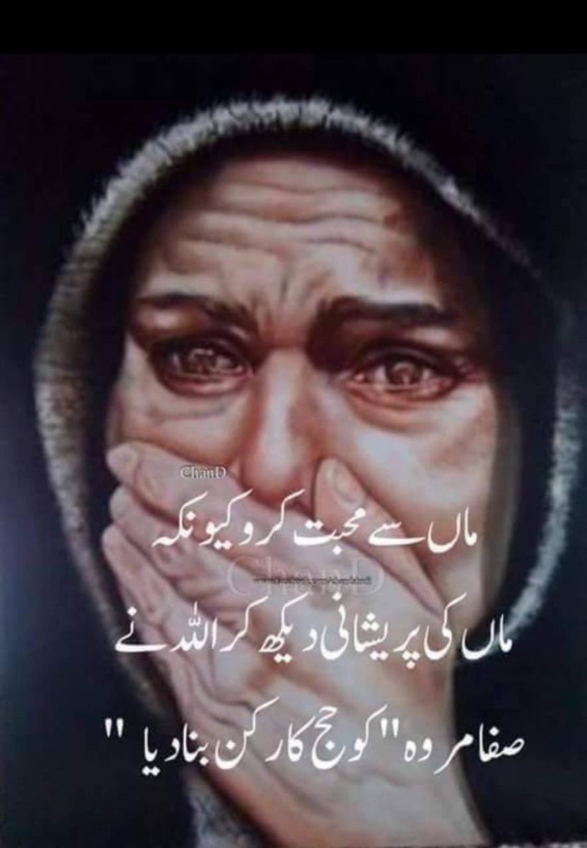 Qamarzeeshan766 (@qamarzeeshan766) on Twitter photo 