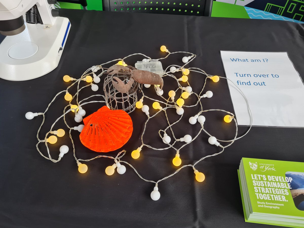 At the @UniOfYork Open Day? Come to our stands in the Exhibition Centre & in our department. Our friendly staff & student ambassadors are waiting to talk to you. You might even get to see a #ScallopDisco 😁