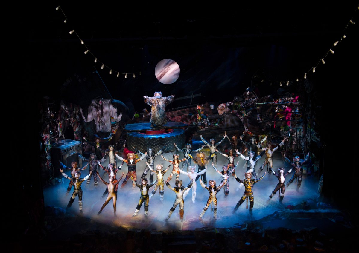 CatsMusical's tweet photo. Cats International Tour is leaving paw prints all over Bremen’s Metropol Theater before heading to Berlin on 6th July 🐾

Attending in Germany? Let us know below! If not - make sure to get your tickets to the iconic meow-sical here: https://t.co/sntGC4BECW

#CatsIntTour https://t.co/Rxwjt9k1vY