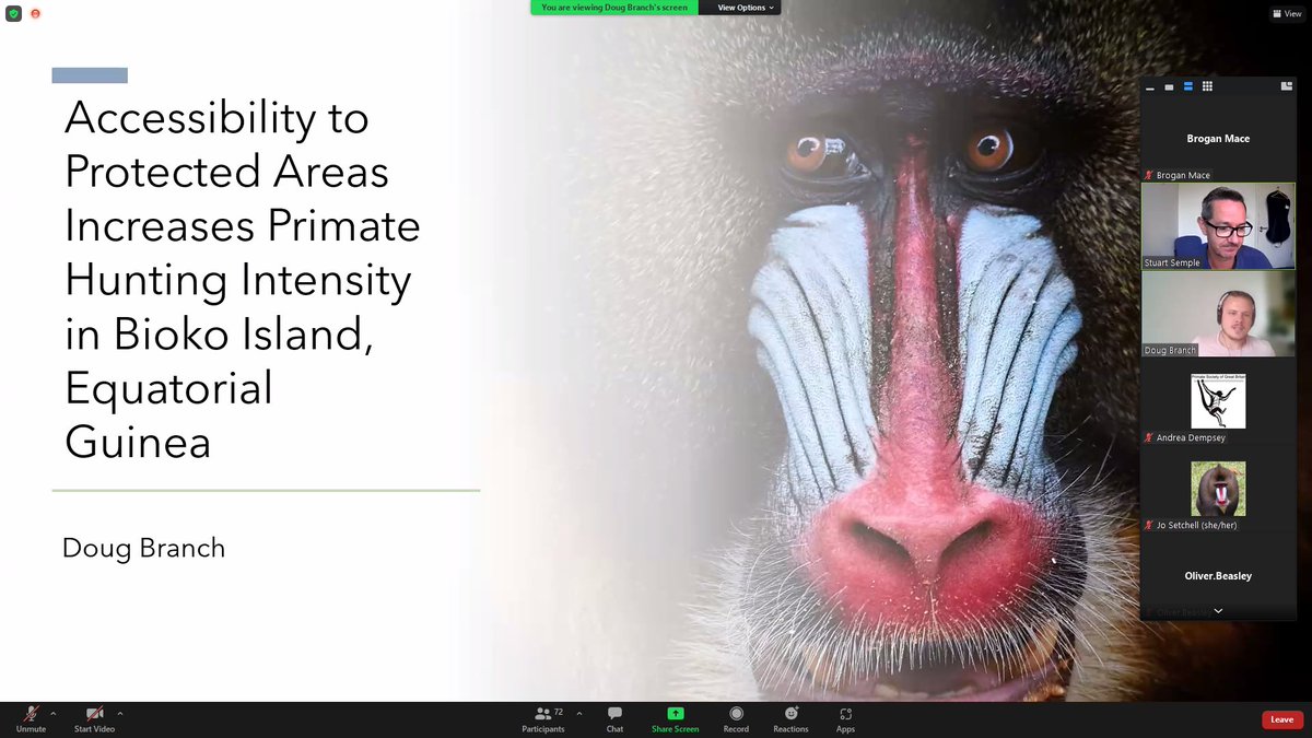 PrimateSocietyGB tweet media