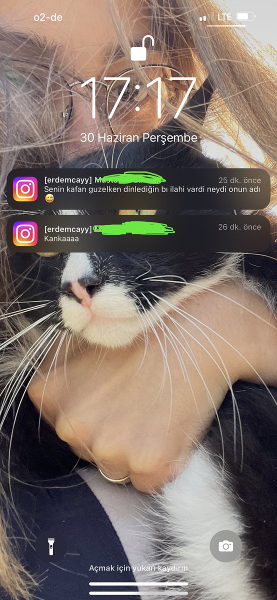 Görende sanacak ki sordum sarı çiçeğe