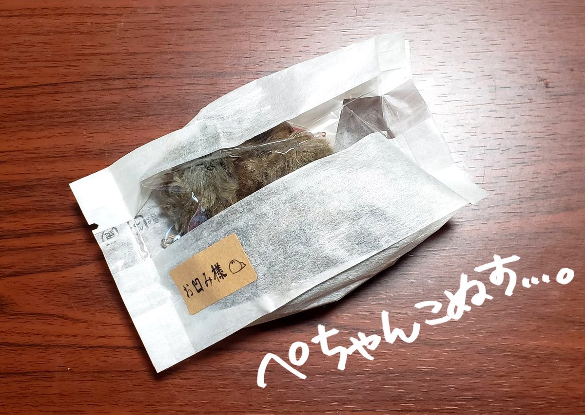 かわいいお凹み様を見かける度コツコツ抽選に参加した結果、ついにお迎えすることができました🥳

実は6月お誕生日だったので
「6月生まれのお凹み様…来たら運命だな…」
と思ってたら本当に来てしまったな…運命だ…

おめめがキラキラのブルーグリーンでかわいい～!

#お凹み様 