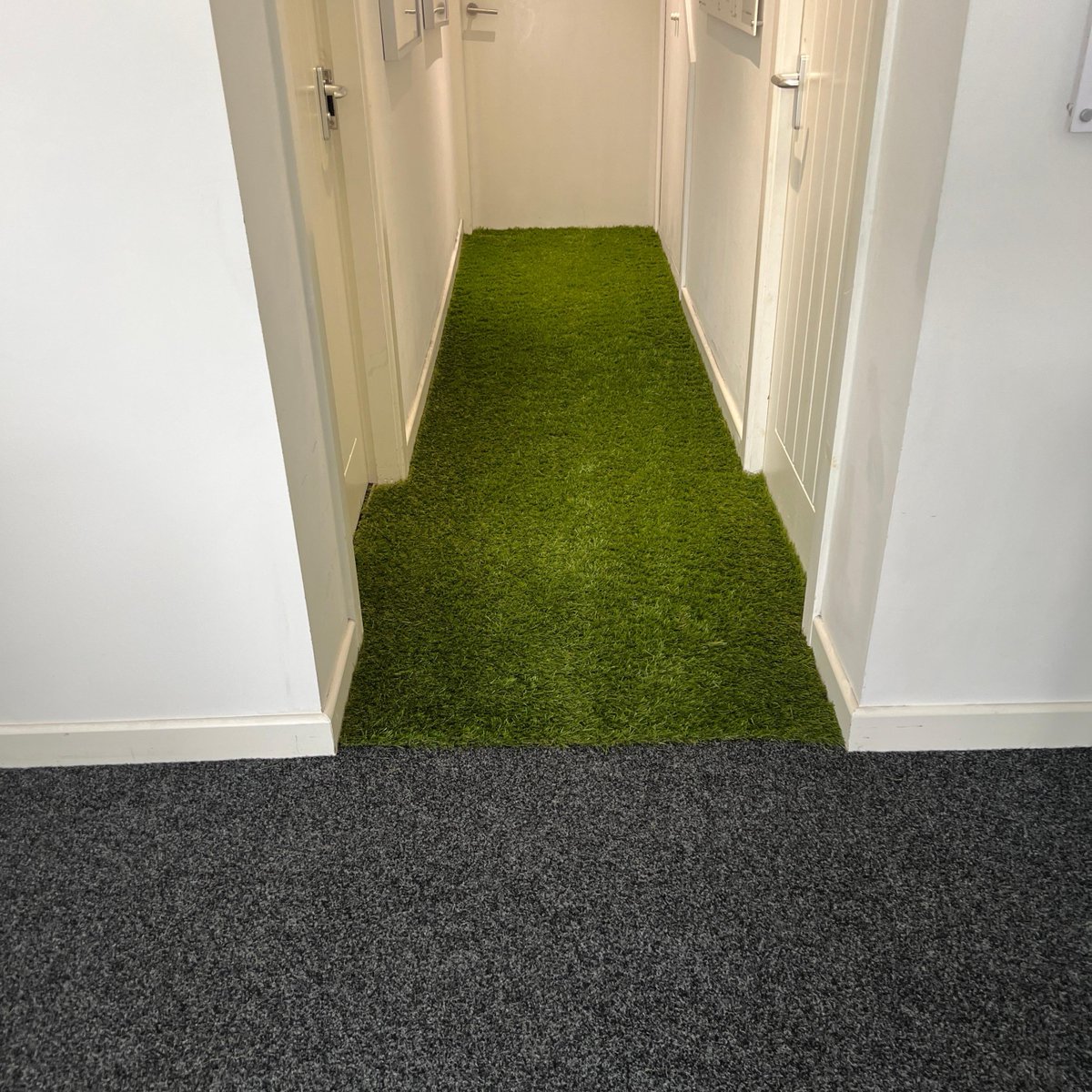MarvelAtEv's tweet photo. We've had a make-over here at the Marvel office🤩

Huge thank you to our friends at Buckshaws Carpets Flooring &amp; Beds next door for our brand new carpet and artificial grass, we're so pleased with it!

Go and check out their new showrooms and choose your perfect flooring or bed😆 https://t.co/W75jLk64cA