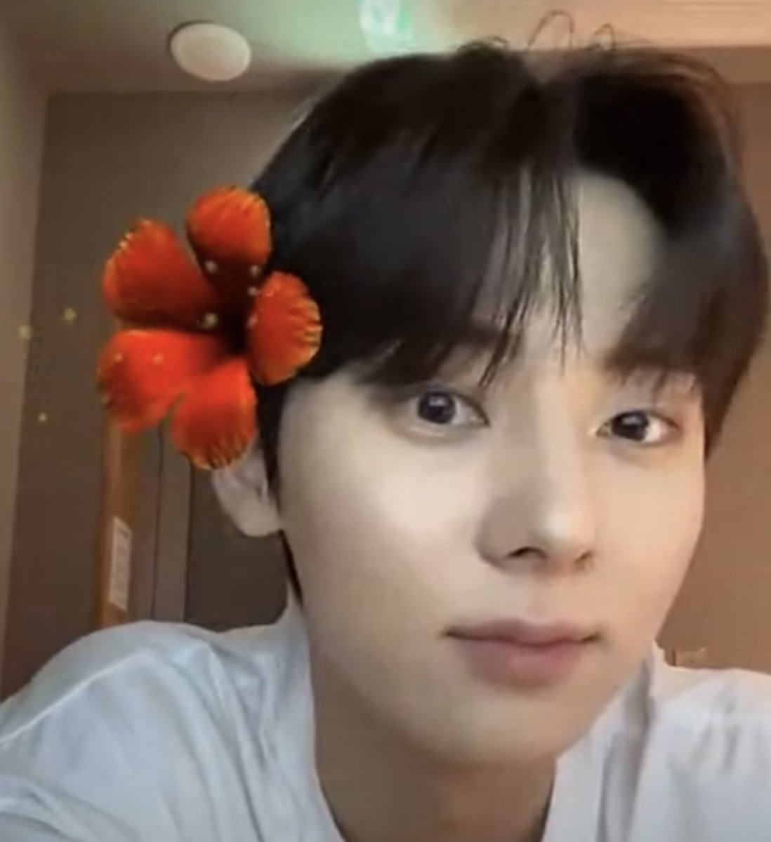 lemin89's tweet photo. 🤍 #민현 https://t.co/GpnSpzAu4v