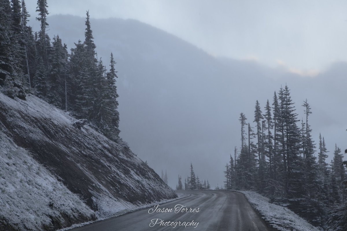 Jason Torres tweet media