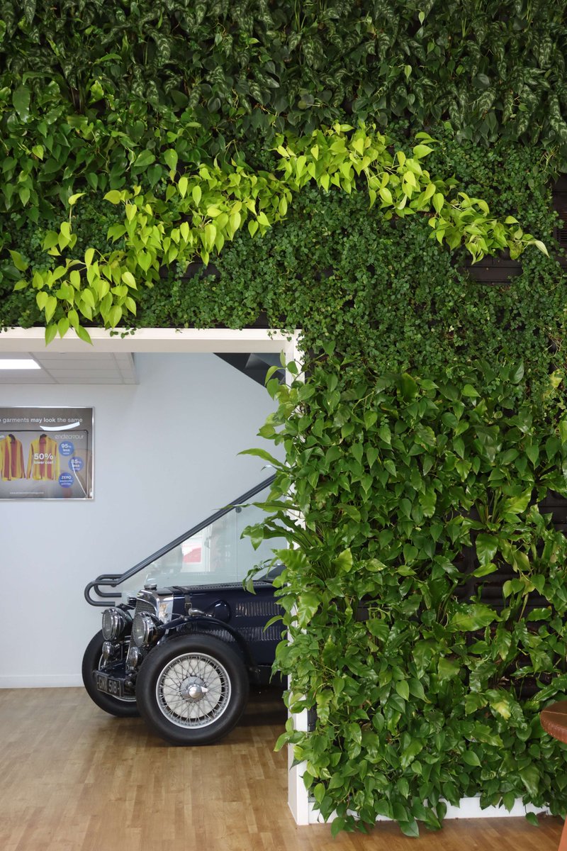 Living walls can make a dramatic statement in your premises and help showcase your brand.  Contact Aztec Plants for ideas and advice bit.ly/3R0ovMc  #livingwalls  #biophilia