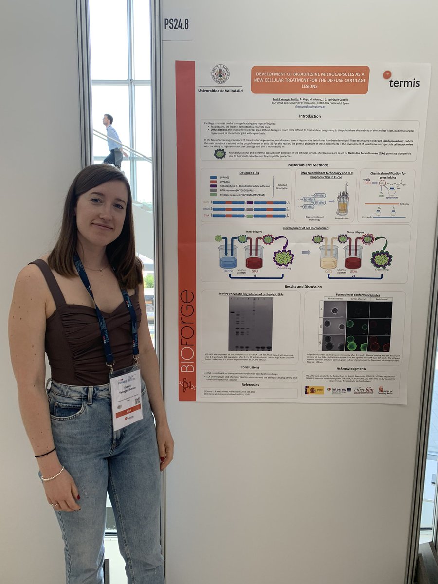 Happy to present my poster ‘Development of bioadhesive microcapsules as a new cellular treatment for the diffuse cartilage lesions’ at @TermisEU2022 and many thanks to my group @RC_Bioforge