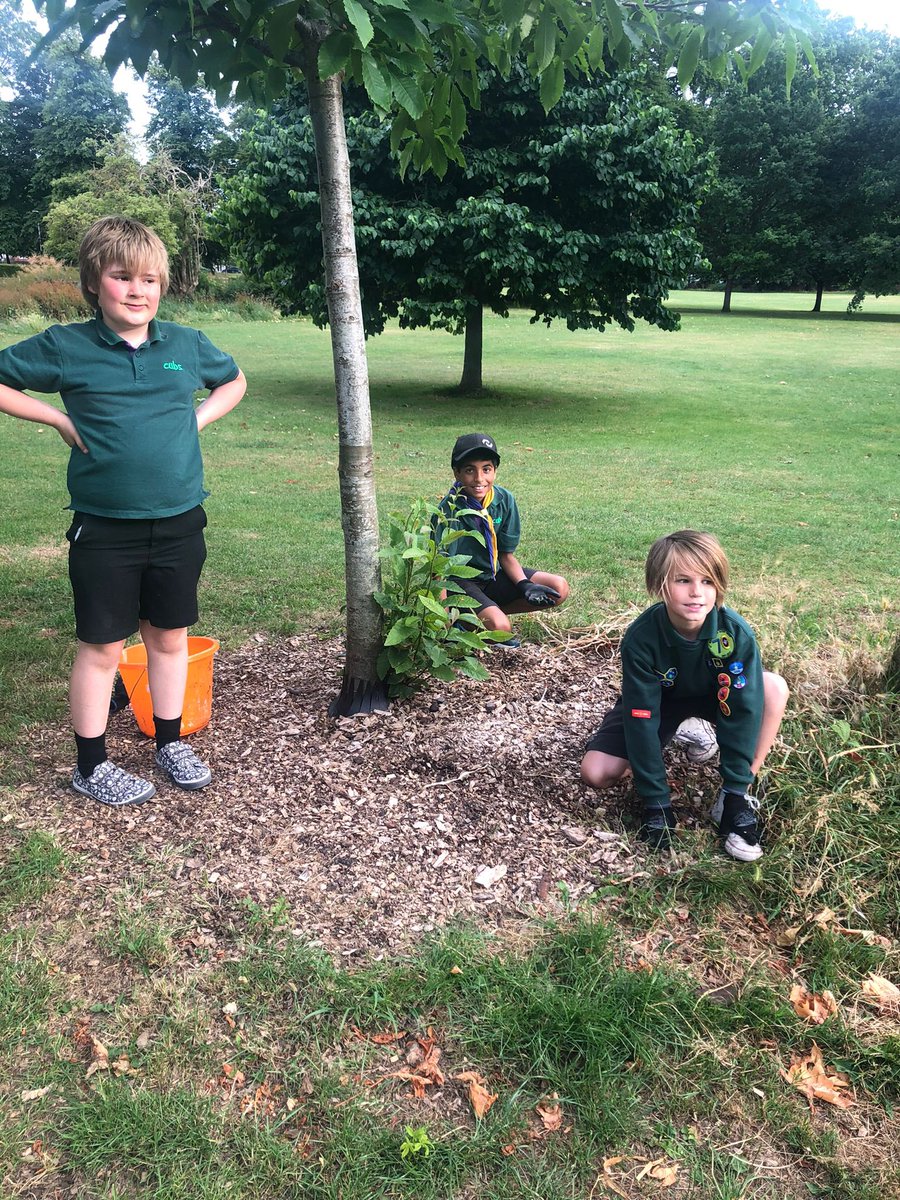 11thWallington tweet media