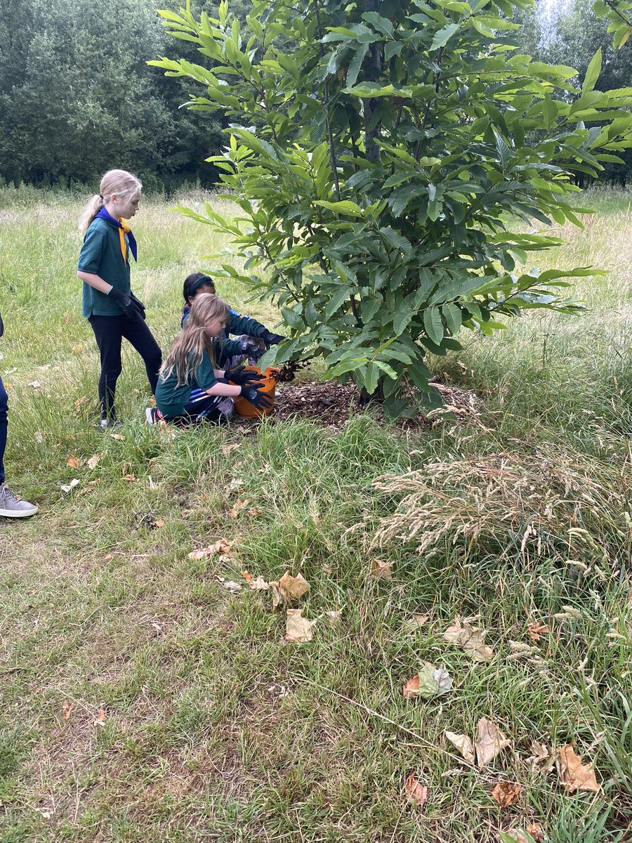 11thWallington tweet media