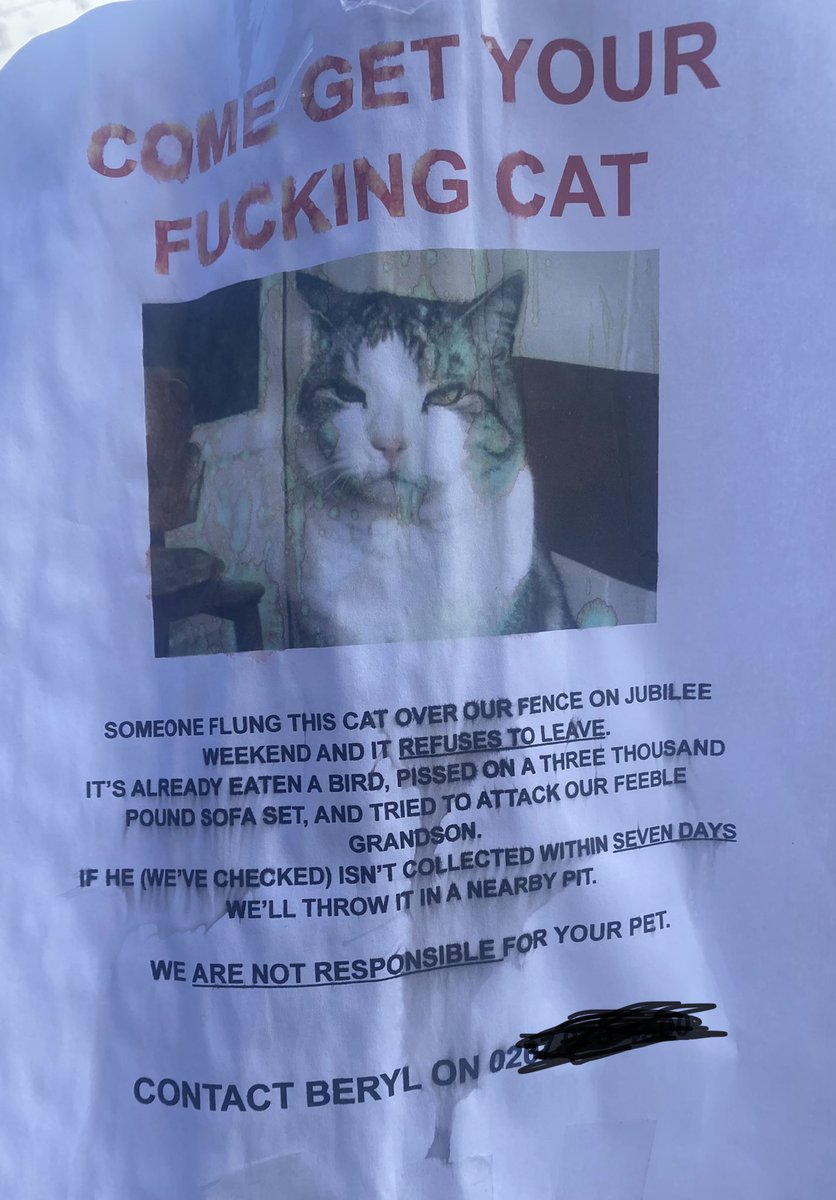 I need to tell you, Beryl, I don't think anyone anywhere will be brave enough to come get this fucking cat