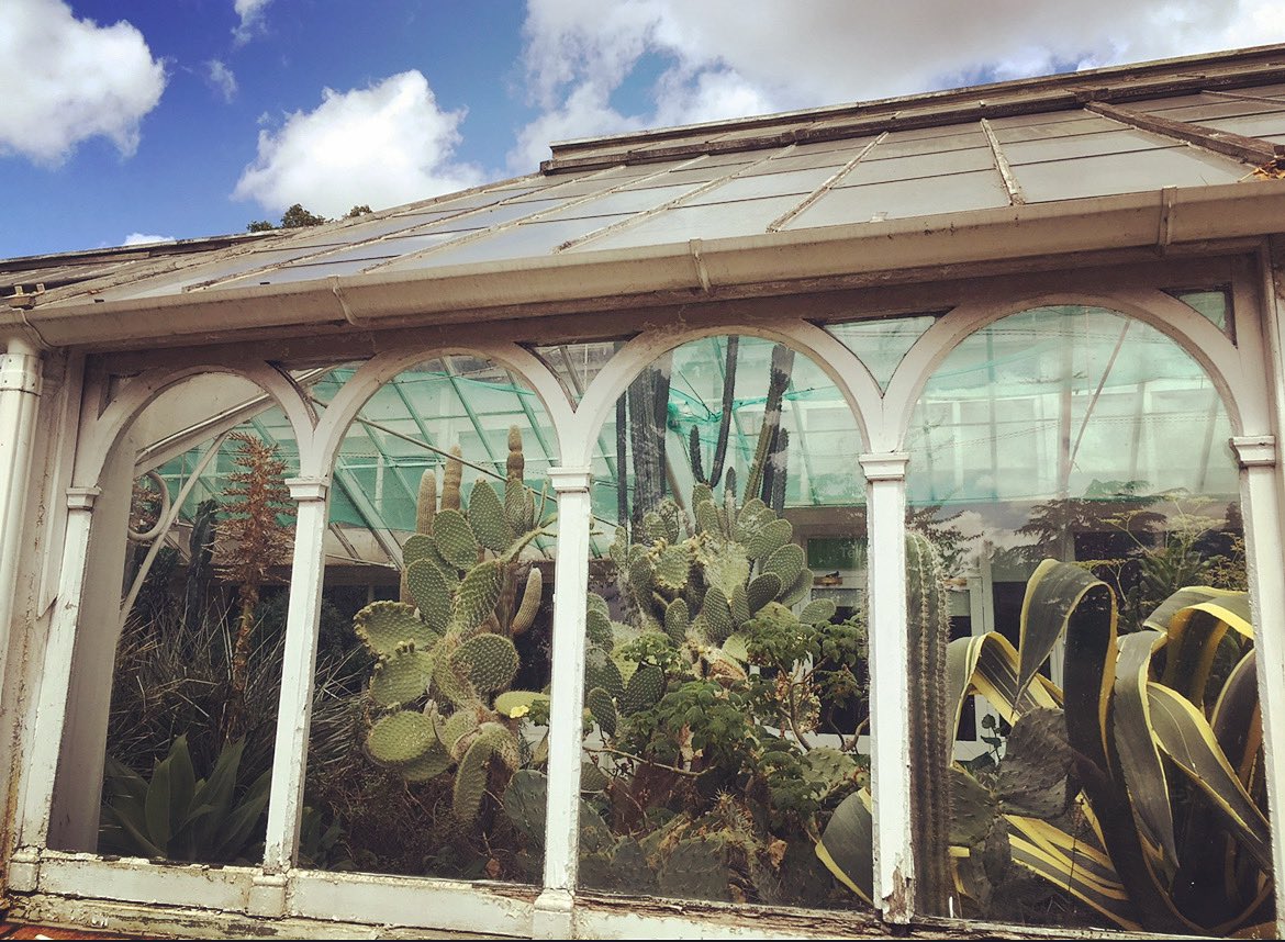 botanicyork's tweet photo. Huge apologies… unfortunately we will be closed today due to staff illness and holiday. So sorry for the inconvenience. We’ll keep you updated with our opening hours for this weekend. Take care, Botanic. 💚

📷 from our trip to Kew Gardens back in 2019 https://t.co/sNDvhd82Bd
