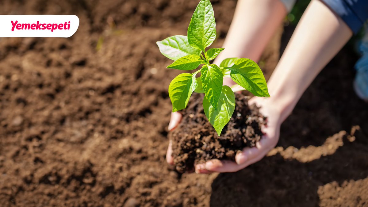 TeknologCom's tweet image. Yemeksepeti, Eylem Odaklı İklim Topluluğu LFCA’e Üye Oldu 
teknolog.com/yemeksepeti-ey… #yemeksepeti #lfca #sürdürülebilirlik @Yemeksepeti @Leaders4CA