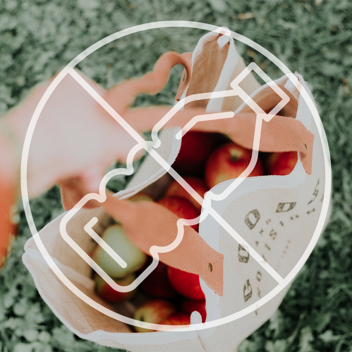 themorcard's tweet photo. Today marks the beginning of #PlasticFreeJuly - a global movement that helps millions of people be part of the solution to plastic pollution. 

Check out some of our zero plastic vendors, including:

☑️ @we_are_spruce 
☑️ @leiho_uk 
☑️ Cupple

And more...

https://t.co/DanSDwRPd9 https://t.co/3WPjsZePU1