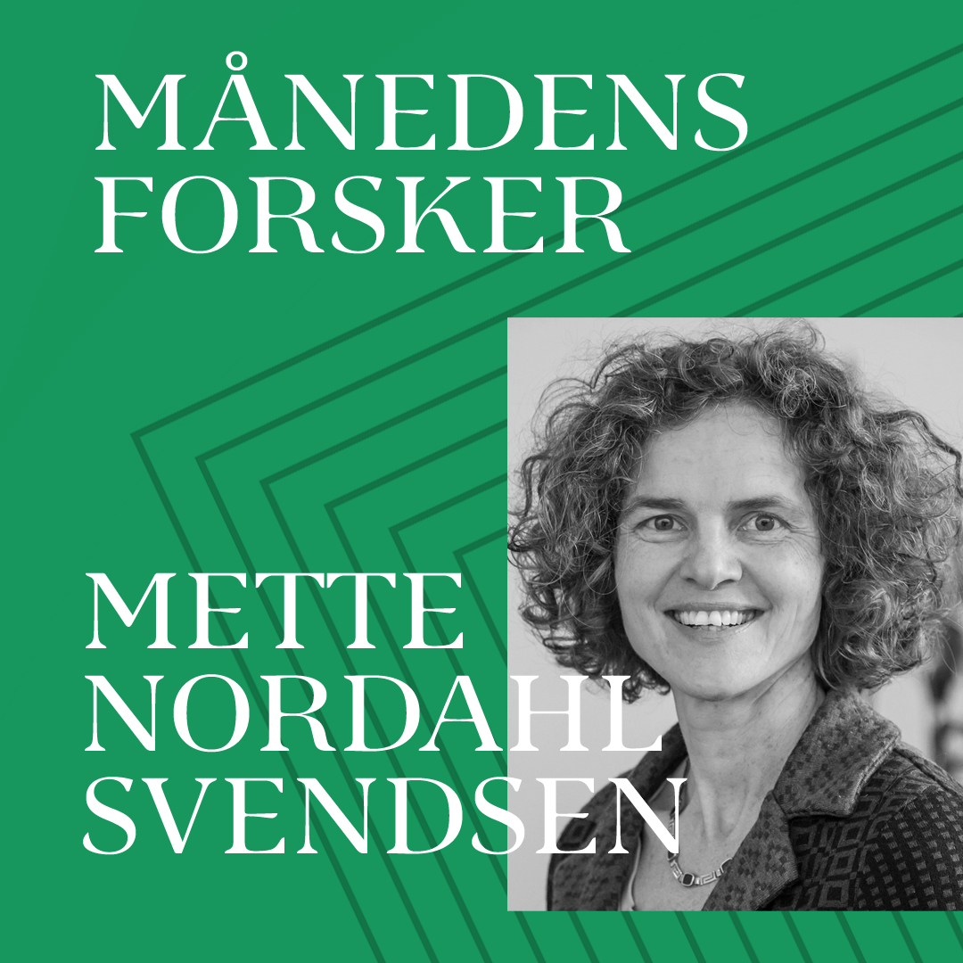 🐖Fra forskningslaboratorier med smågrise i kuvøser over neonathalafdelinger til plejehjem med svært demenssyge. 
👉Læs stort portræt af #MånedensForsker prof Mette Nordahl Svendsen bit.ly/nordahl_portra… #dkforsk #sundpol <a href="/UCPH_health/">UCPH Healthscience</a>