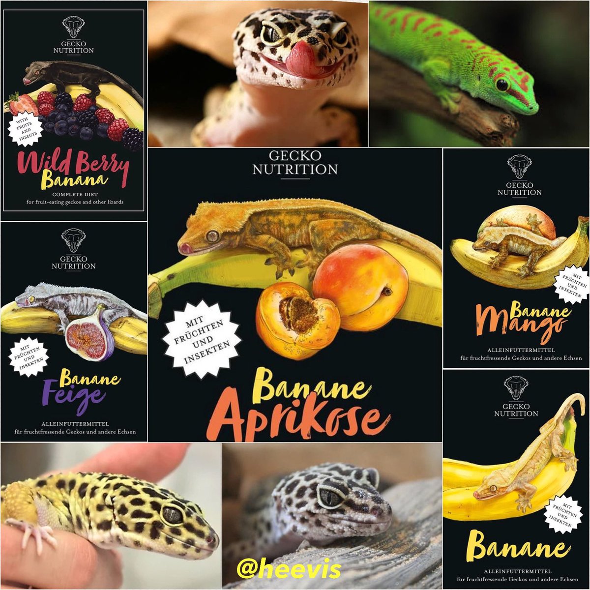 Heevis1973's tweet photo. Gecko Nutrition bestaat uit een assortiment gekko voeders in 6 smaken. Deze voedermix is geschikt voor alle vruchten-etende soorten. Bevat ook insecteneiwit en natuurlijke ingrediënten als bijenpollen, banaan, algen en honing. #heevis #terrarium #reptielen #gekko #gecko https://t.co/ZOmNsdPXgO