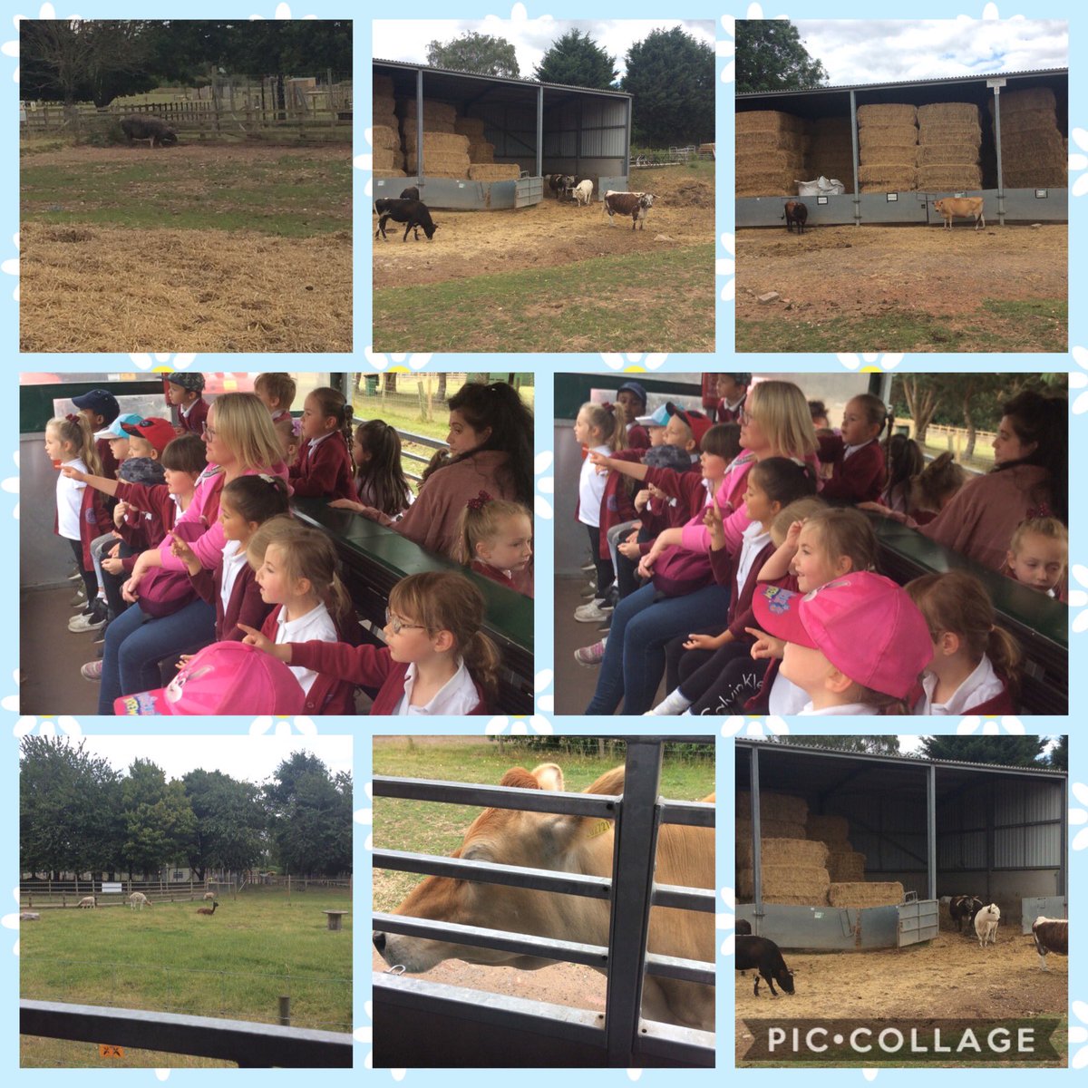 leen_mills's tweet photo. Our Foundation Stage went to White Post Farm. We had lots of fun finding out about the animals. 🐖🐐🐑 #leenmills #hucknall #eyfs #whitepostfarm https://t.co/tDzI3r0bKE