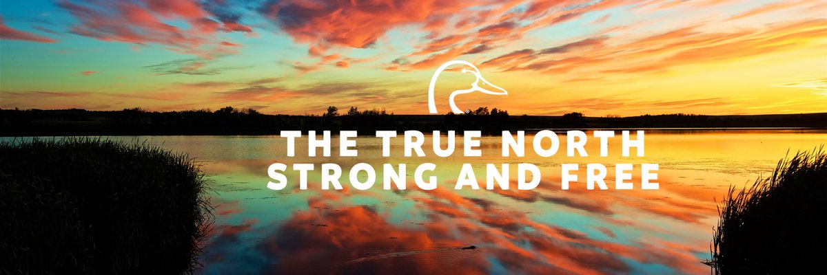 Happy Canada Day! 🦆