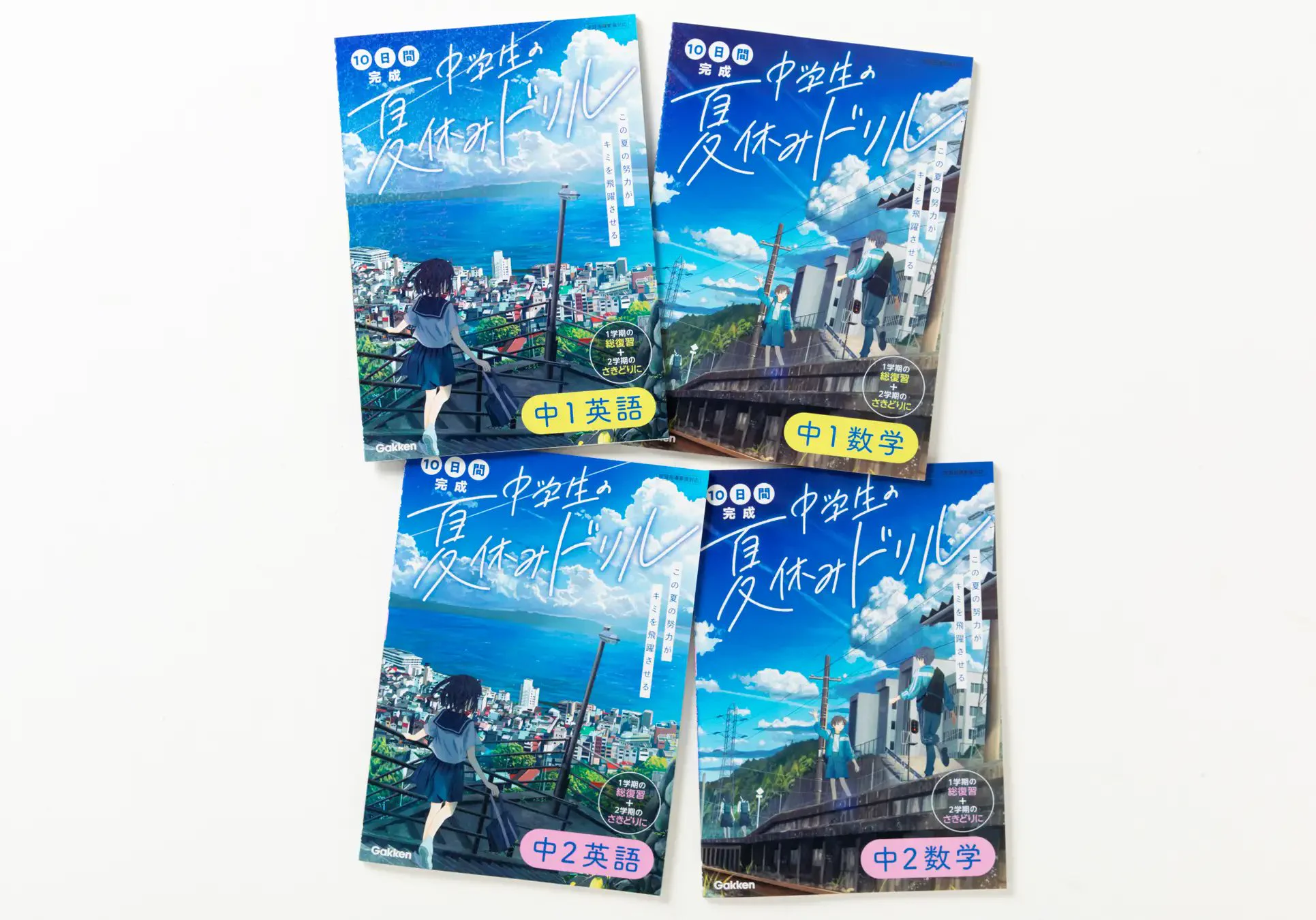 学研 ハイベスト教科事典１5冊セット　中学生 banishment on X: 